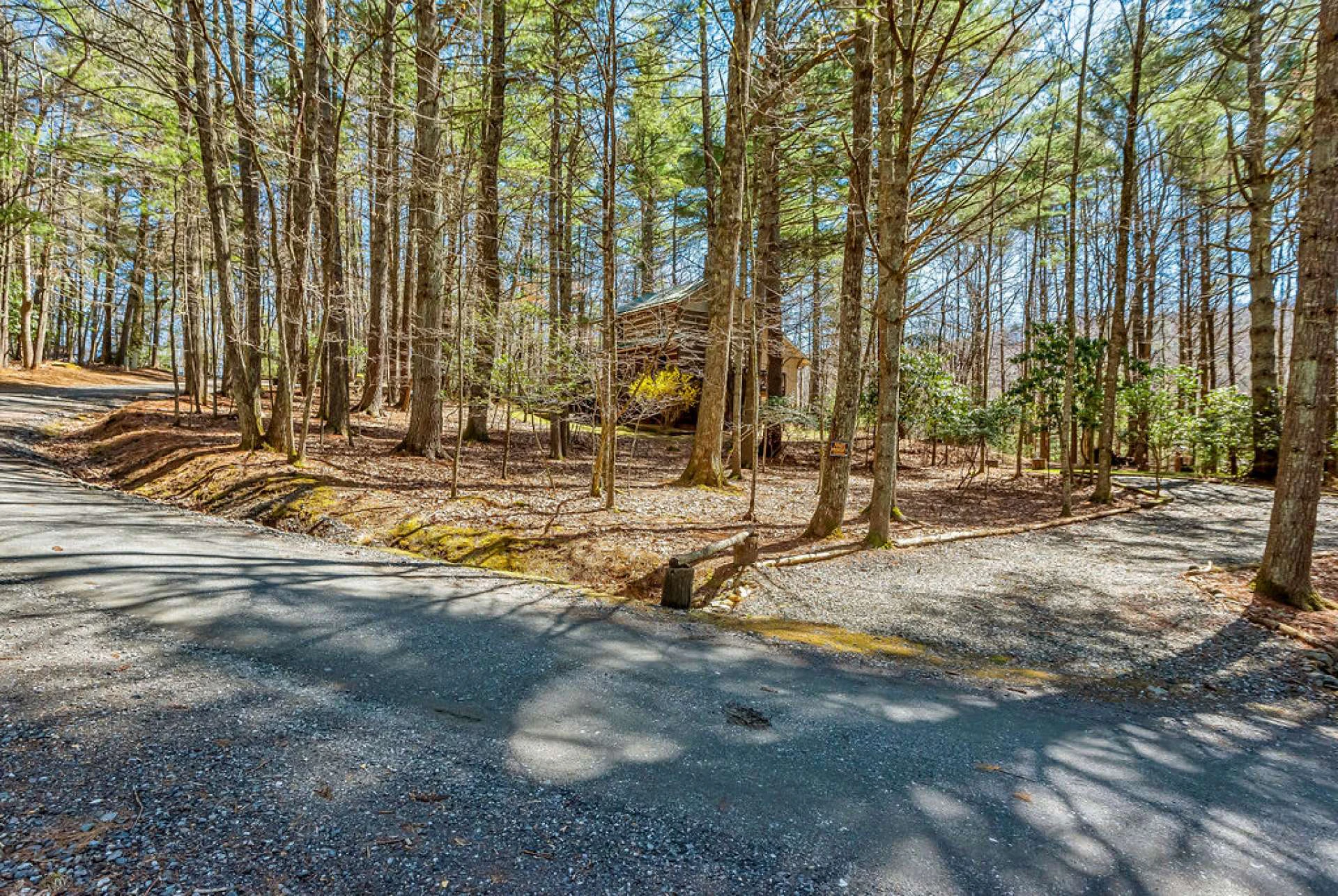 Image number 20 for the current listing