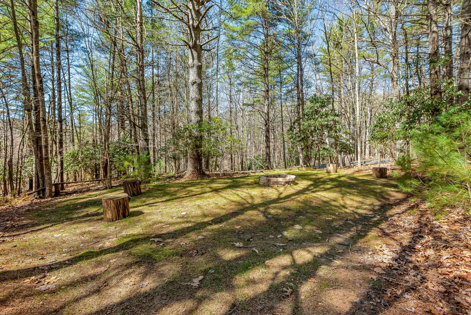 Image number 14 for the current listing