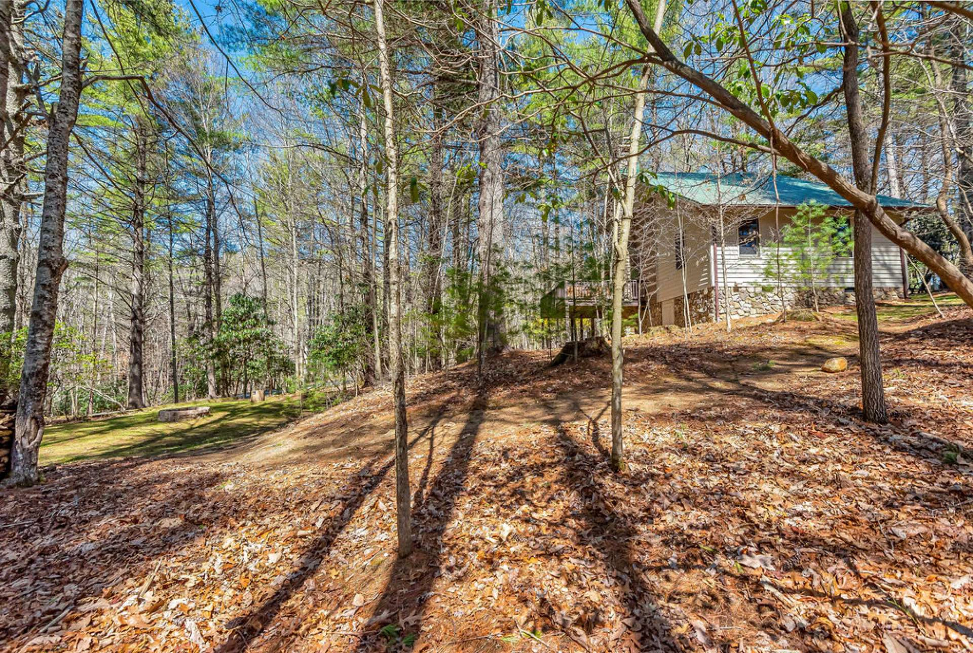 Image number 15 for the current listing