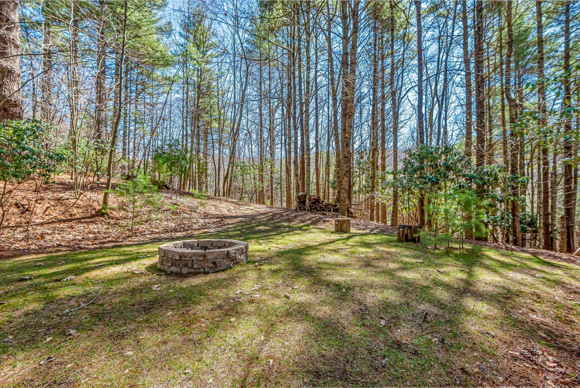 Image number 16 for the current listing