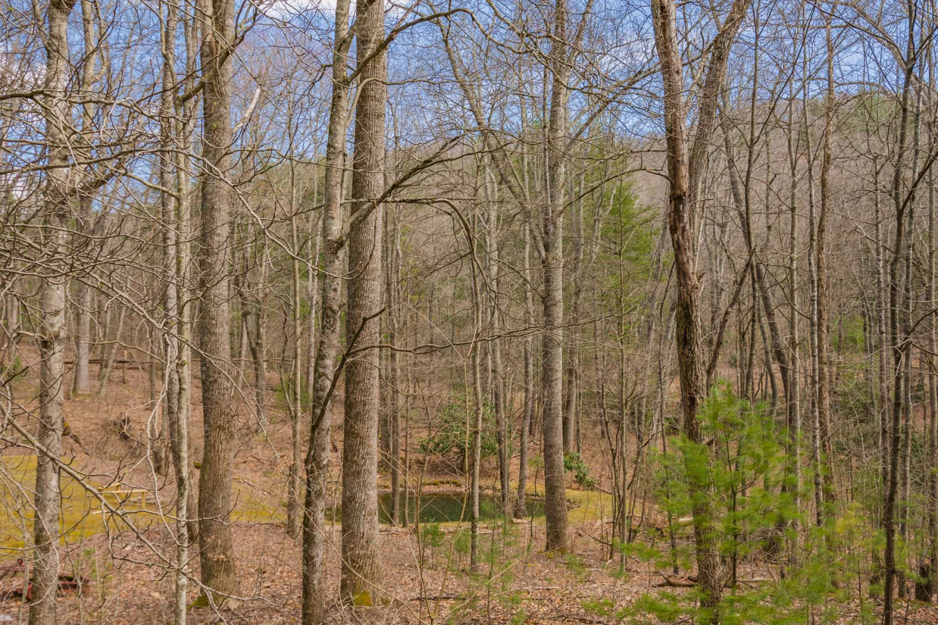 Image number 9 for the current listing