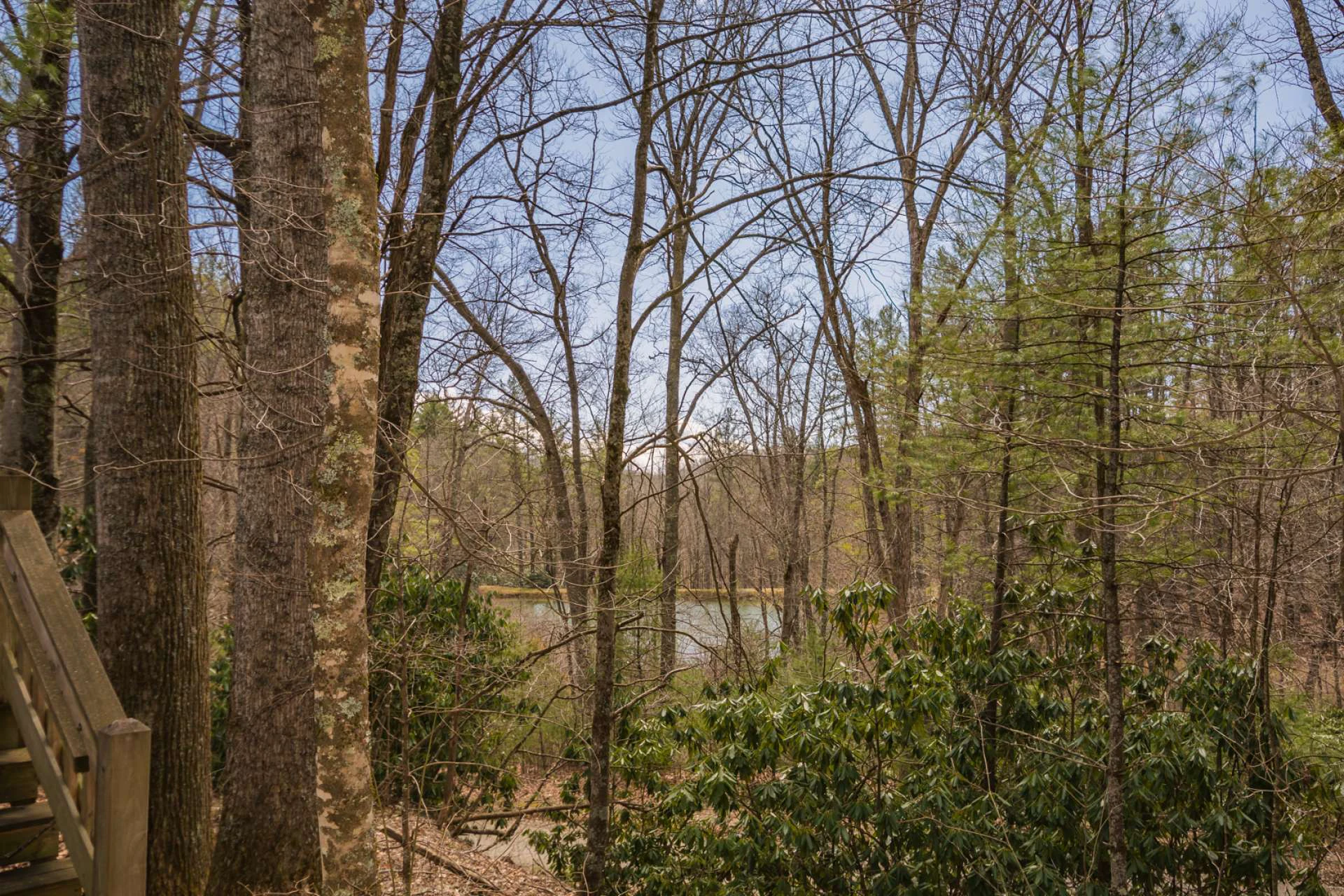 Image number 10 for the current listing