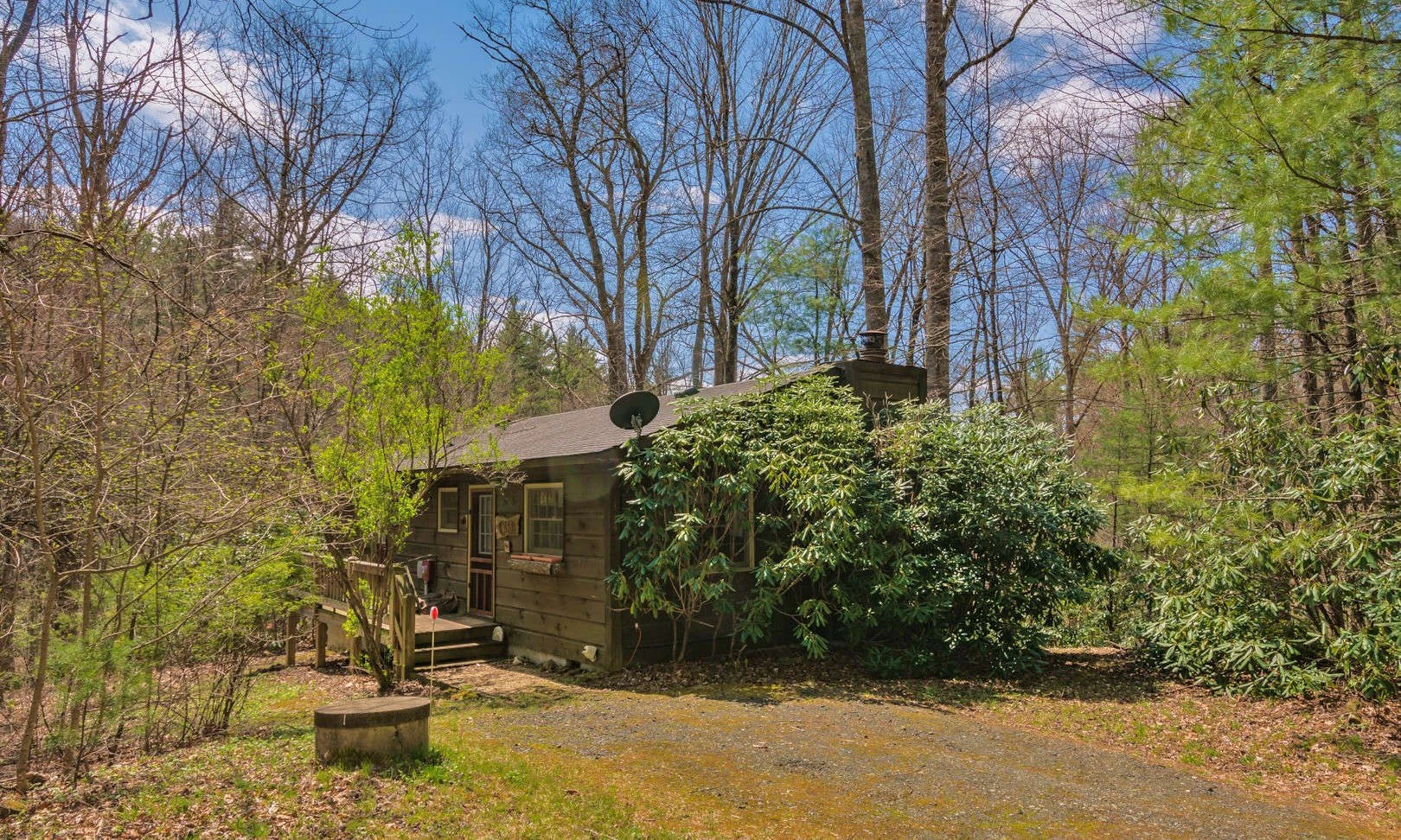 Image number 1 for the current listing