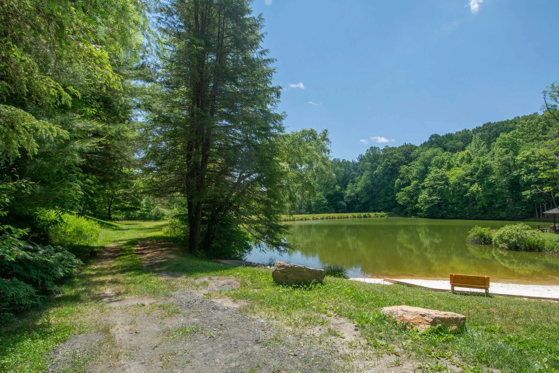 Image number 21 for the current listing