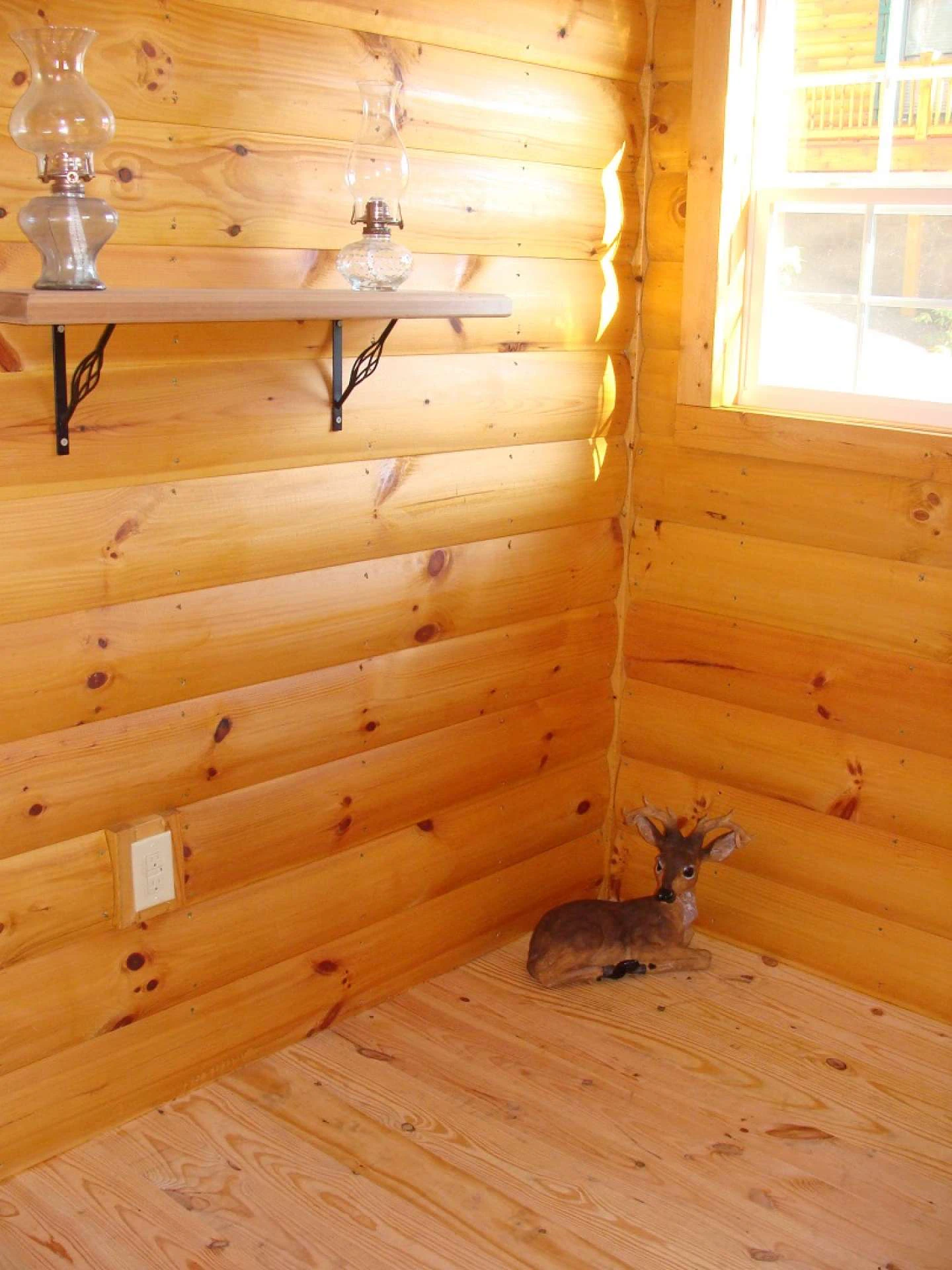 Image number 7 for the current listing