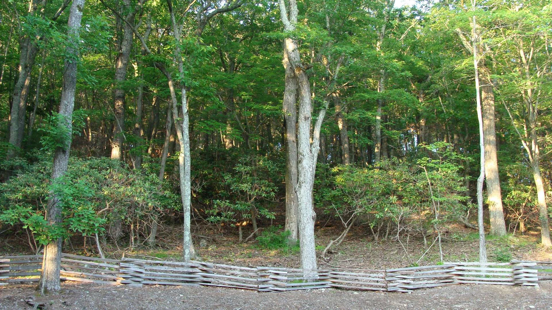 Image number 6 for the current listing