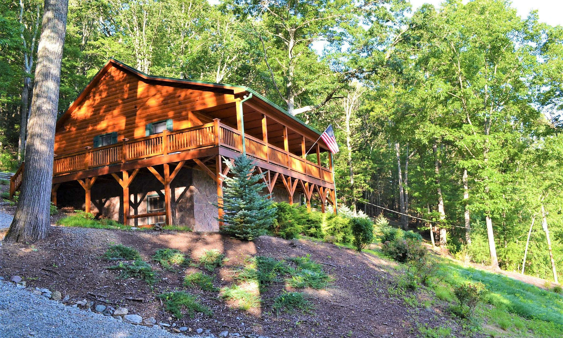 Image number 1 for the current listing
