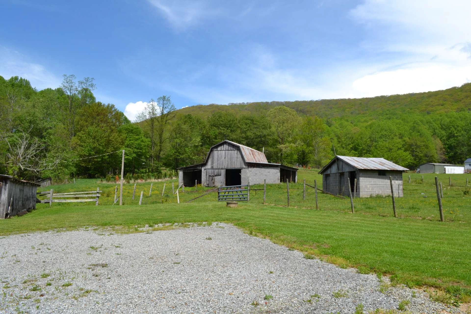 Image number 9 for the current listing