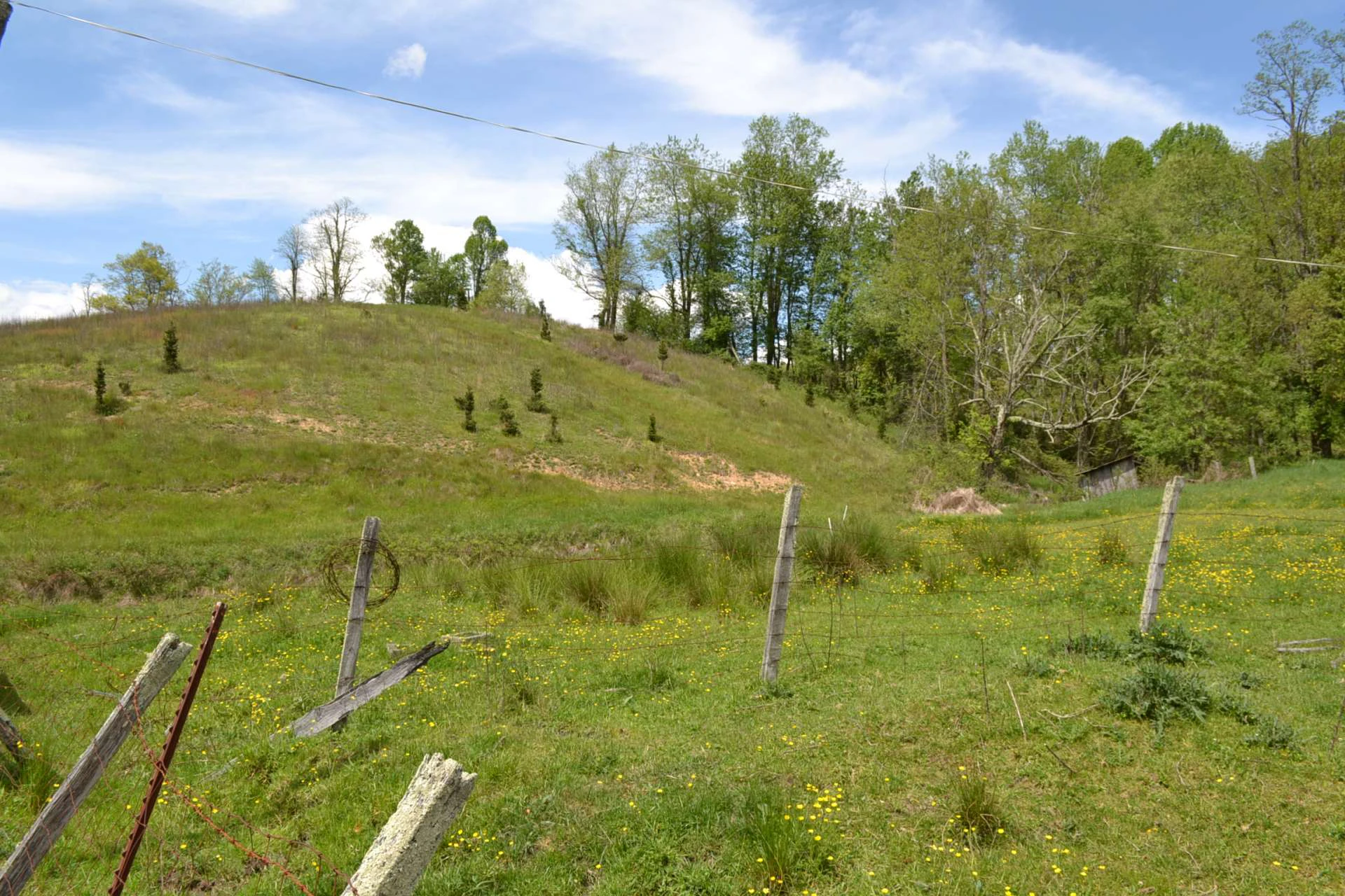 Image number 10 for the current listing