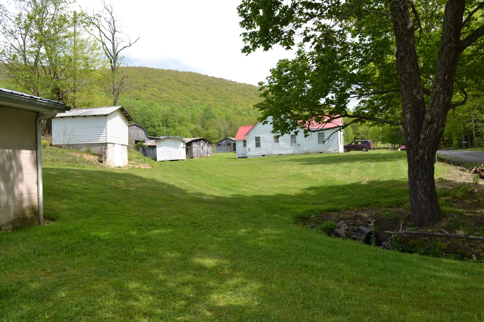 Image number 12 for the current listing