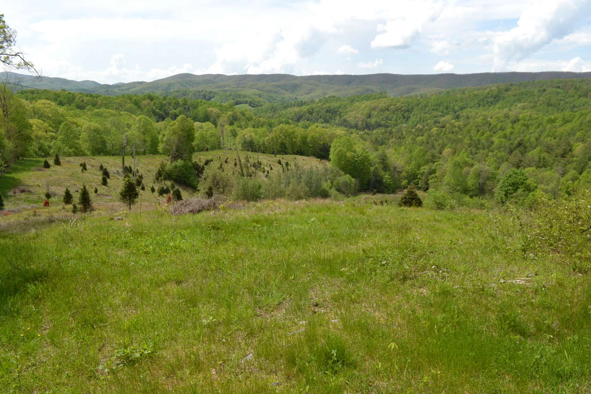 Image number 14 for the current listing