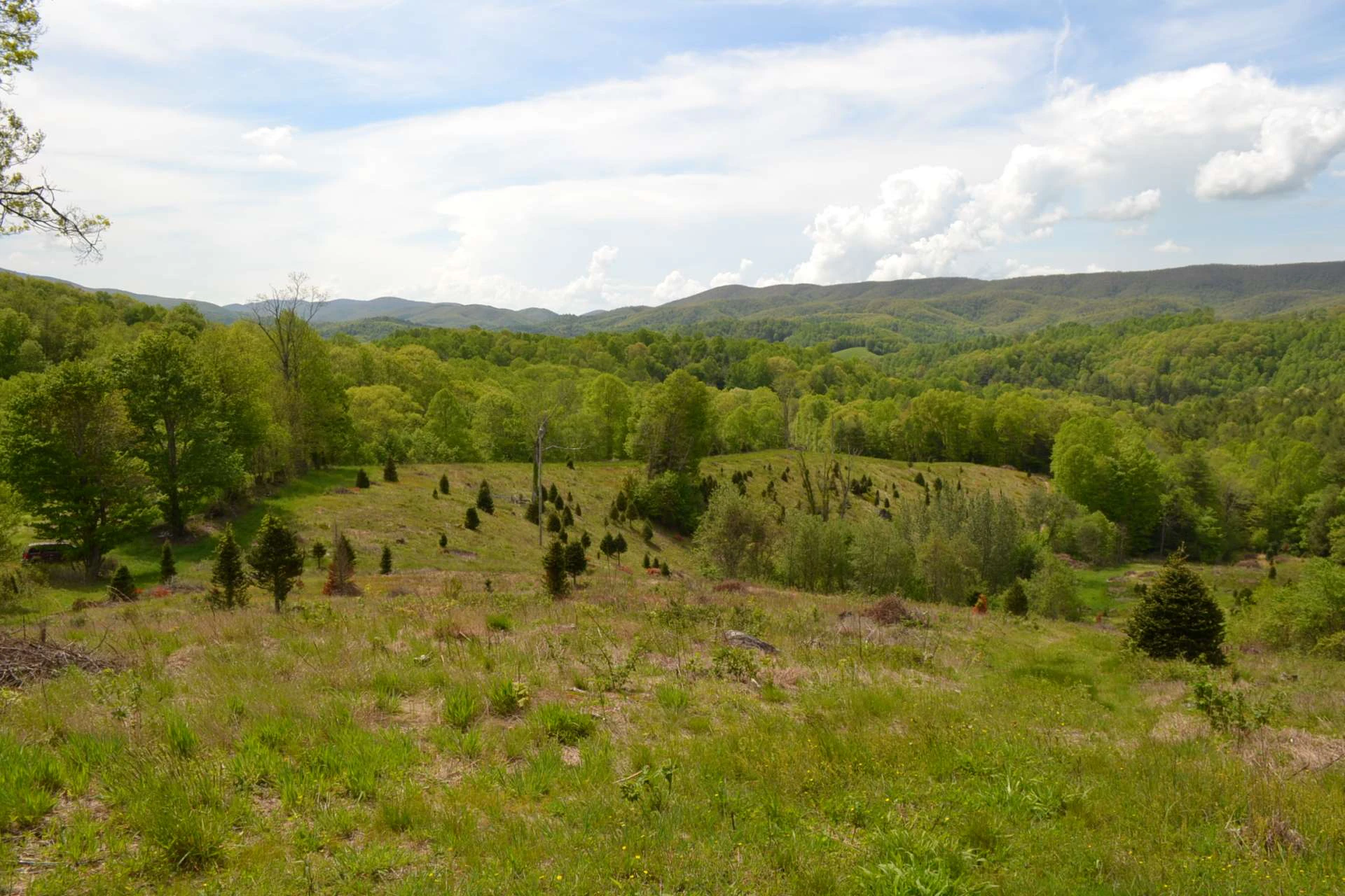 Image number 17 for the current listing