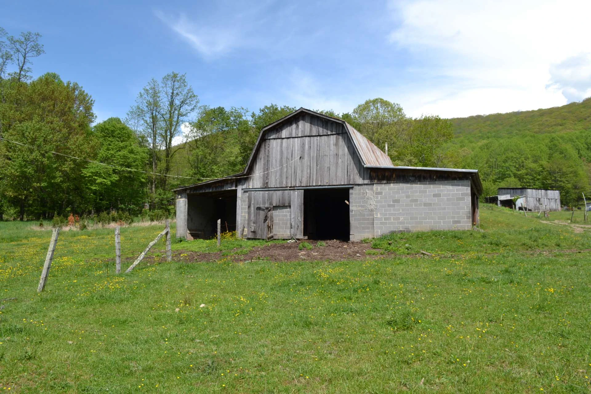 Image number 8 for the current listing