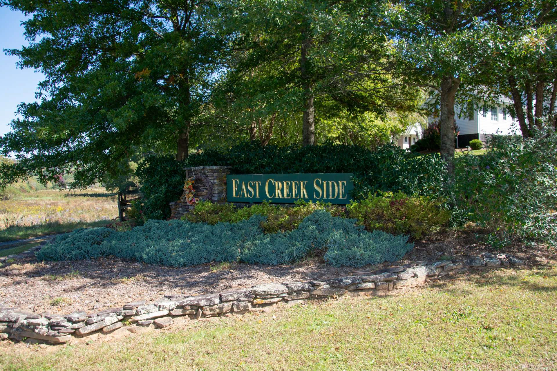 Image number 4 for the current listing