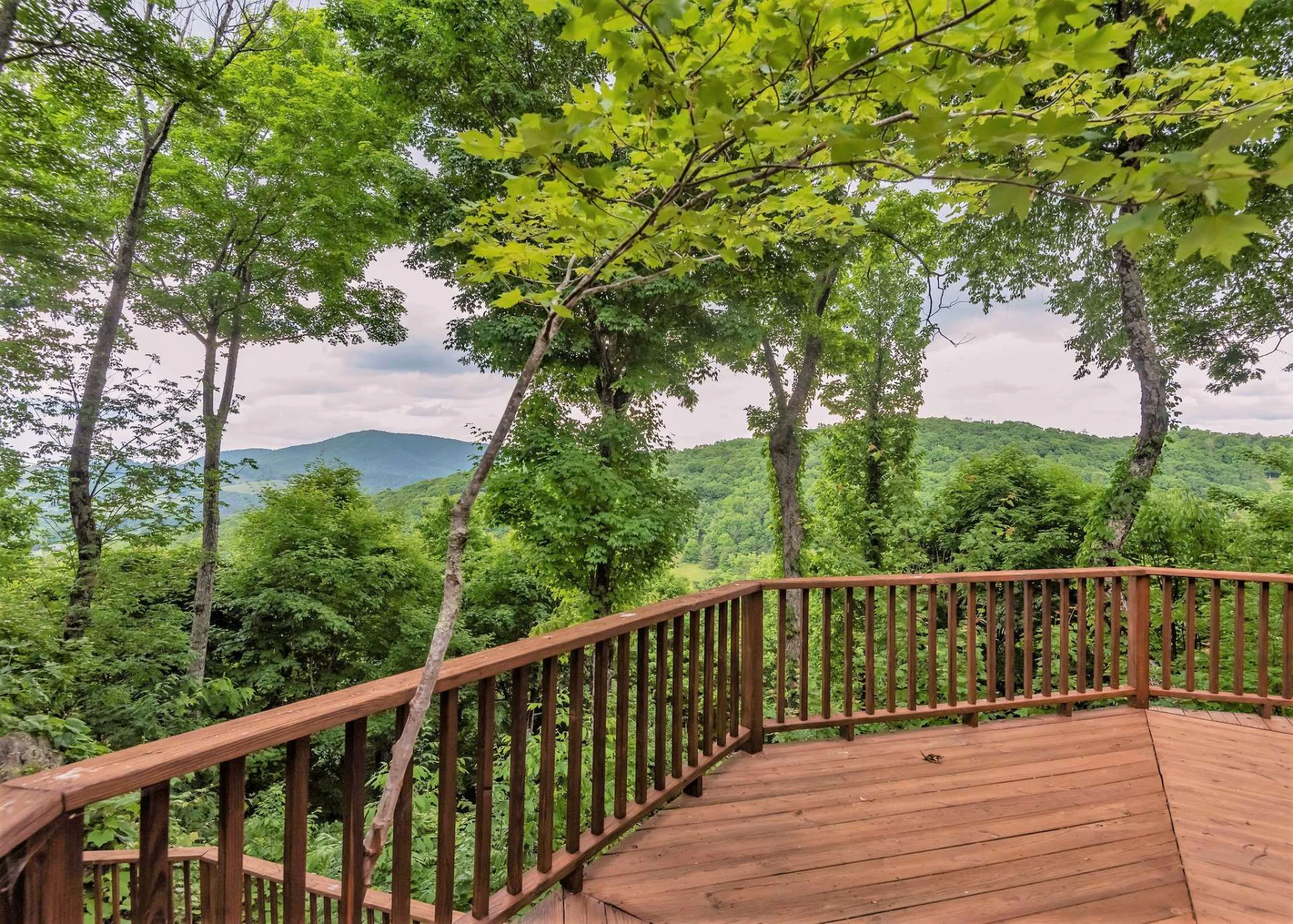 Image number 10 for the current listing