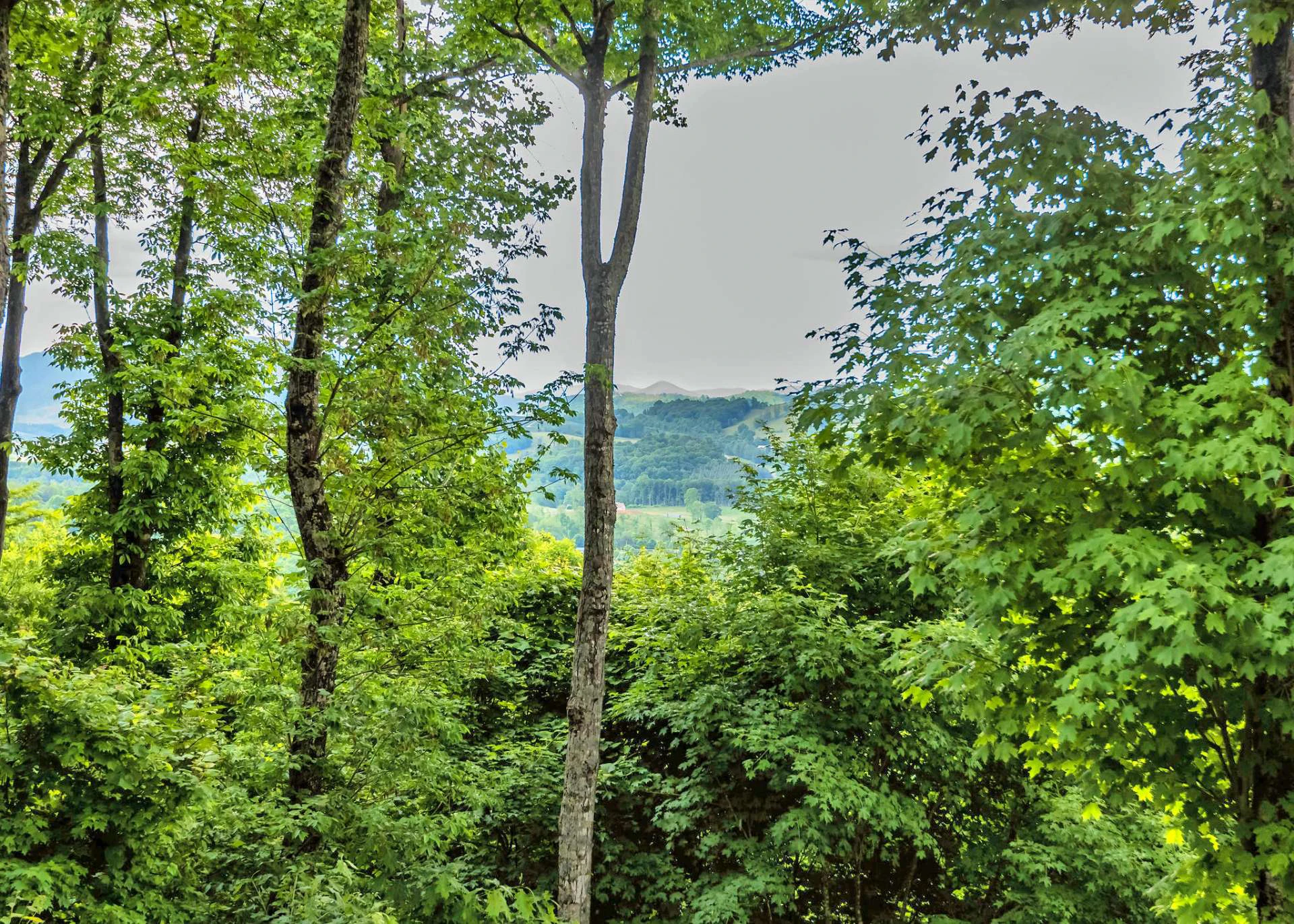 Image number 9 for the current listing