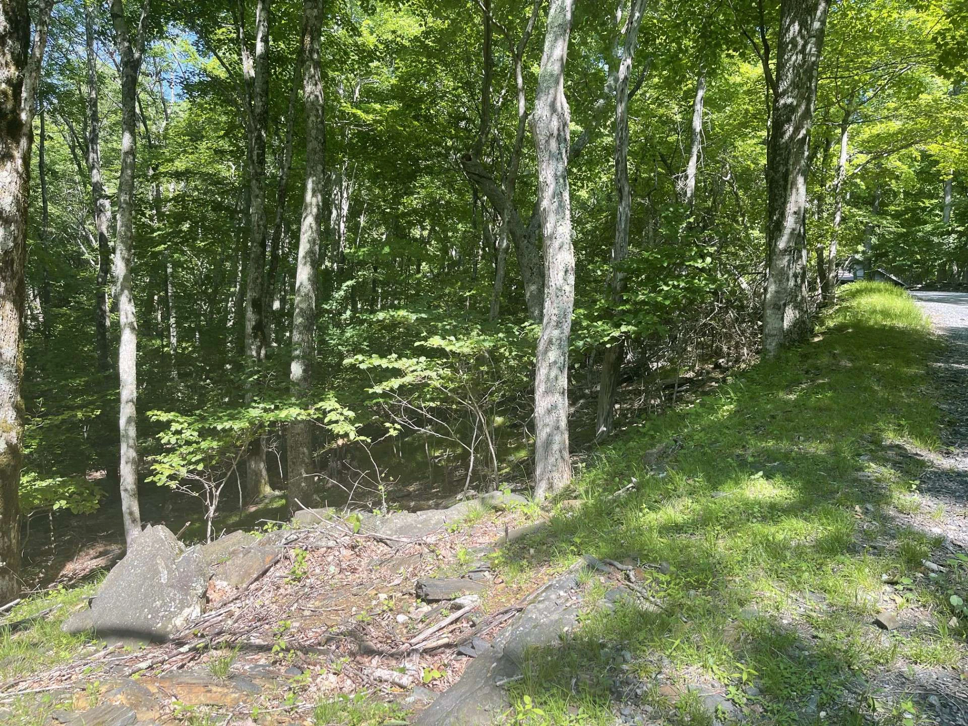 Image number 5 for the current listing