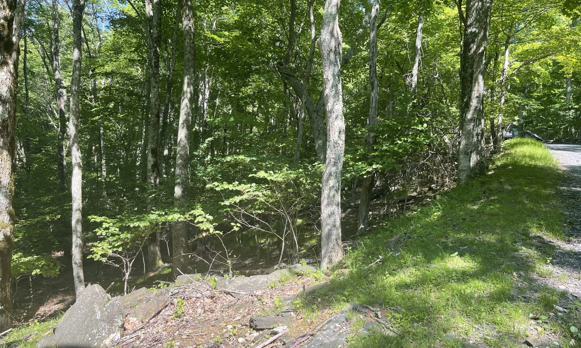 Image number 1 for the current listing