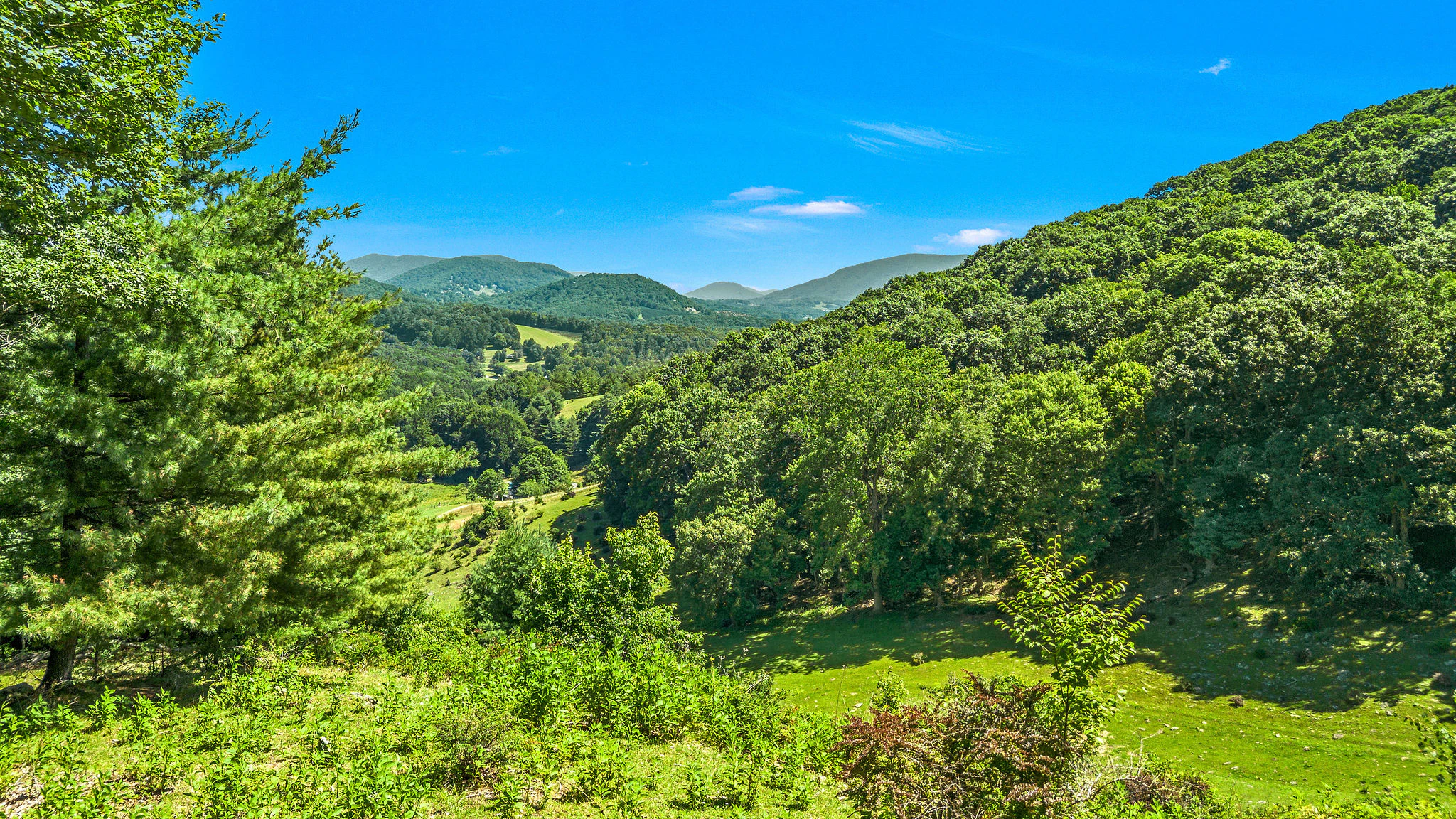 Image number 5 for the current listing