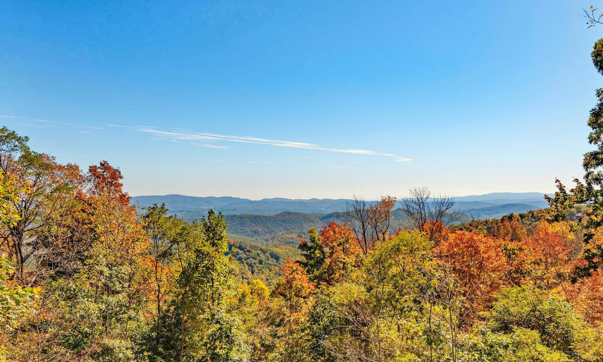 Image number 1 for the current listing