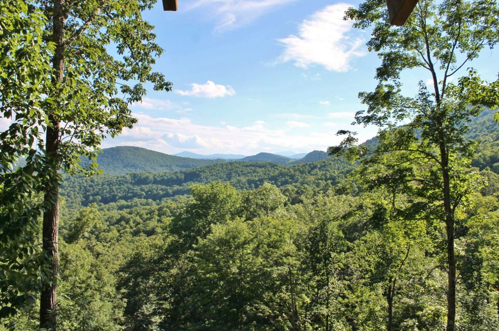 Image number 3 for the current listing