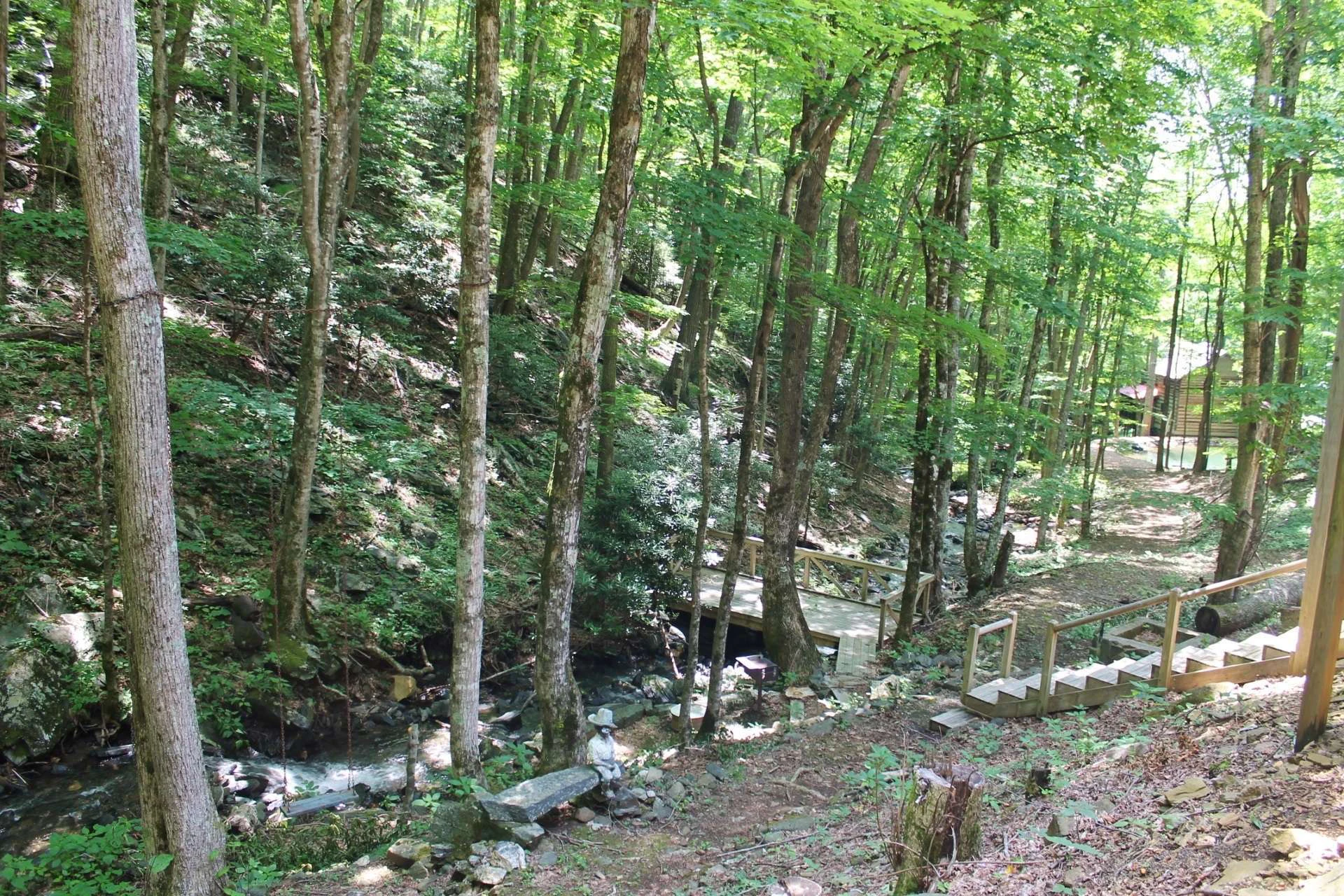 Image number 7 for the current listing