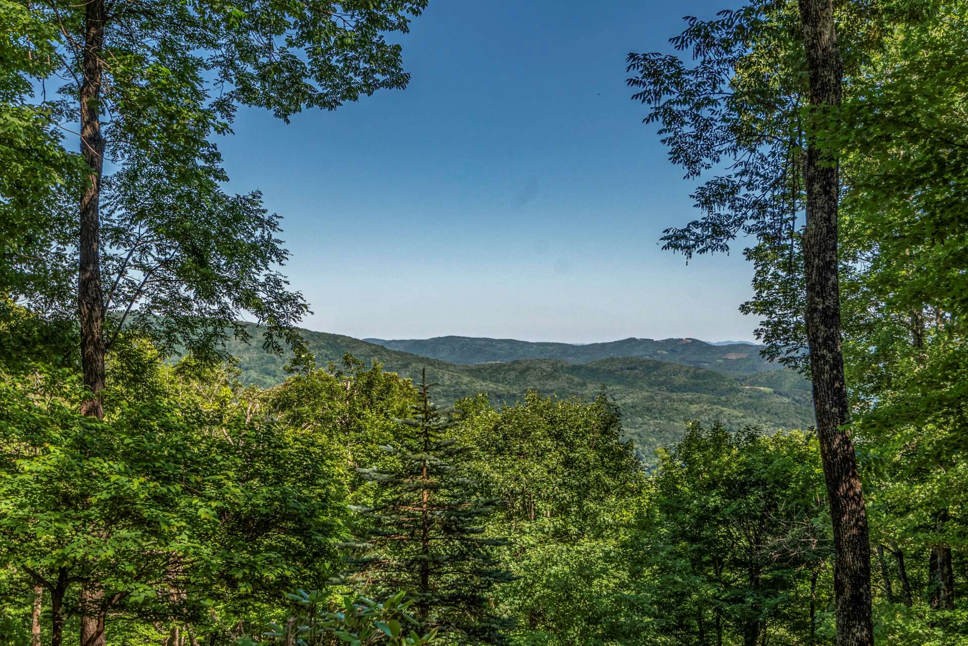 Image number 9 for the current listing