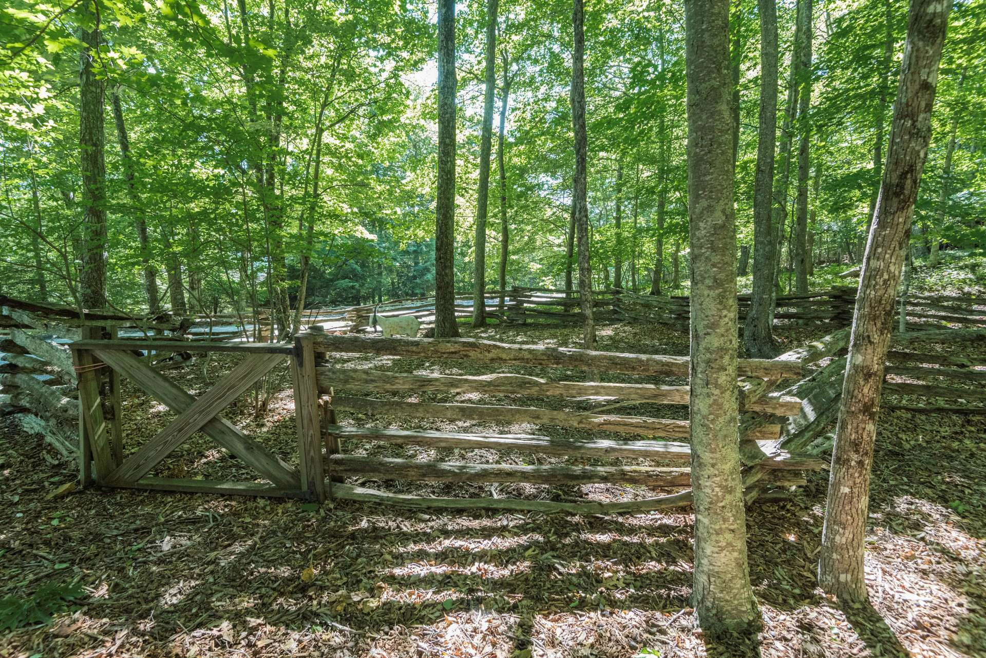 Image number 2 for the current listing