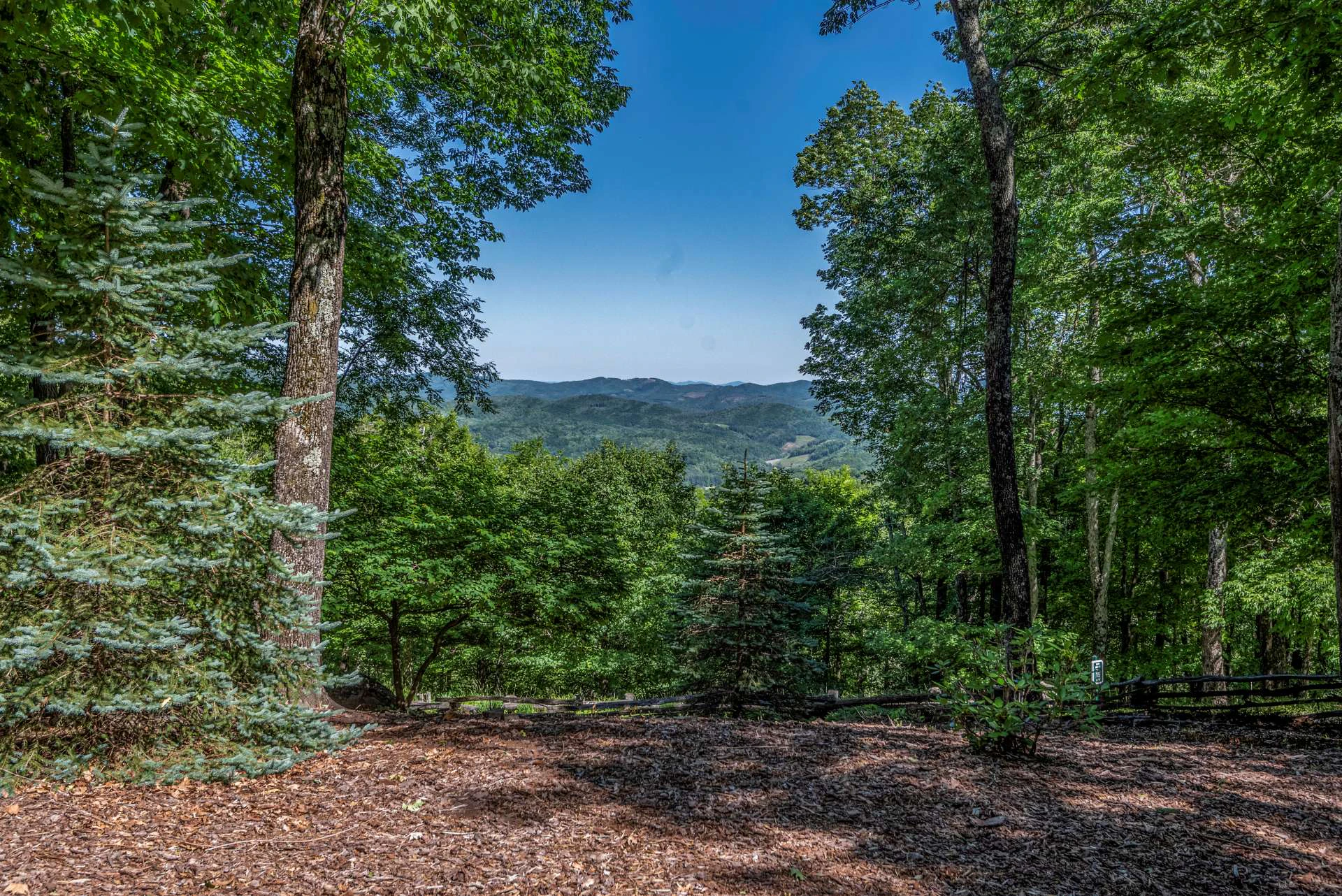 Image number 19 for the current listing