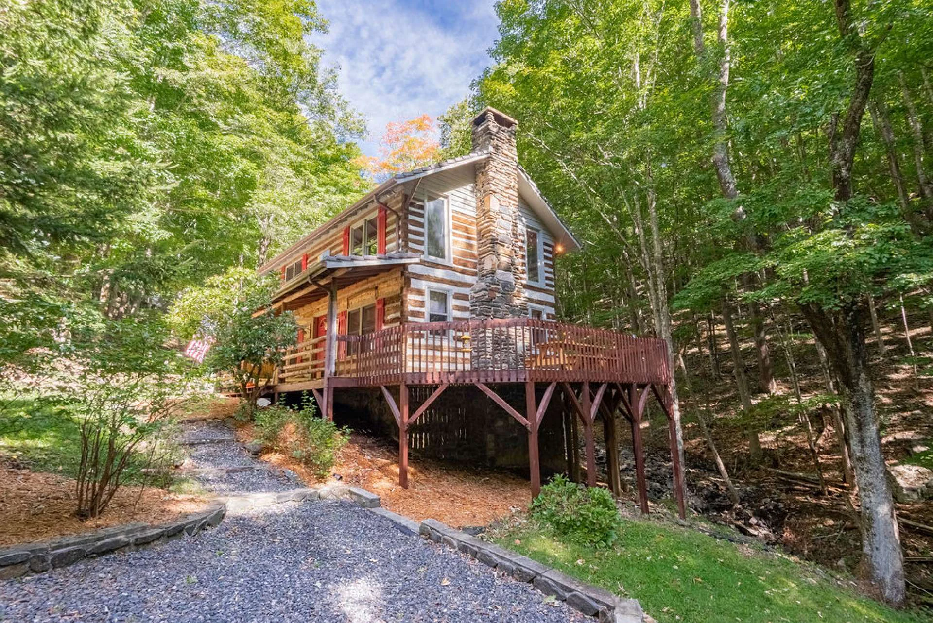 Image number 15 for the current listing