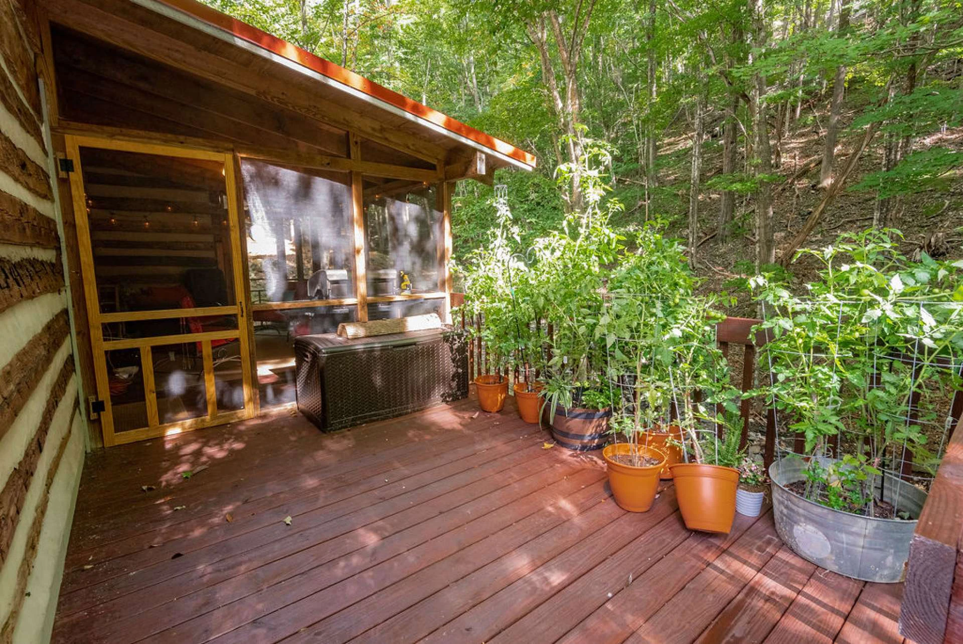 Image number 8 for the current listing