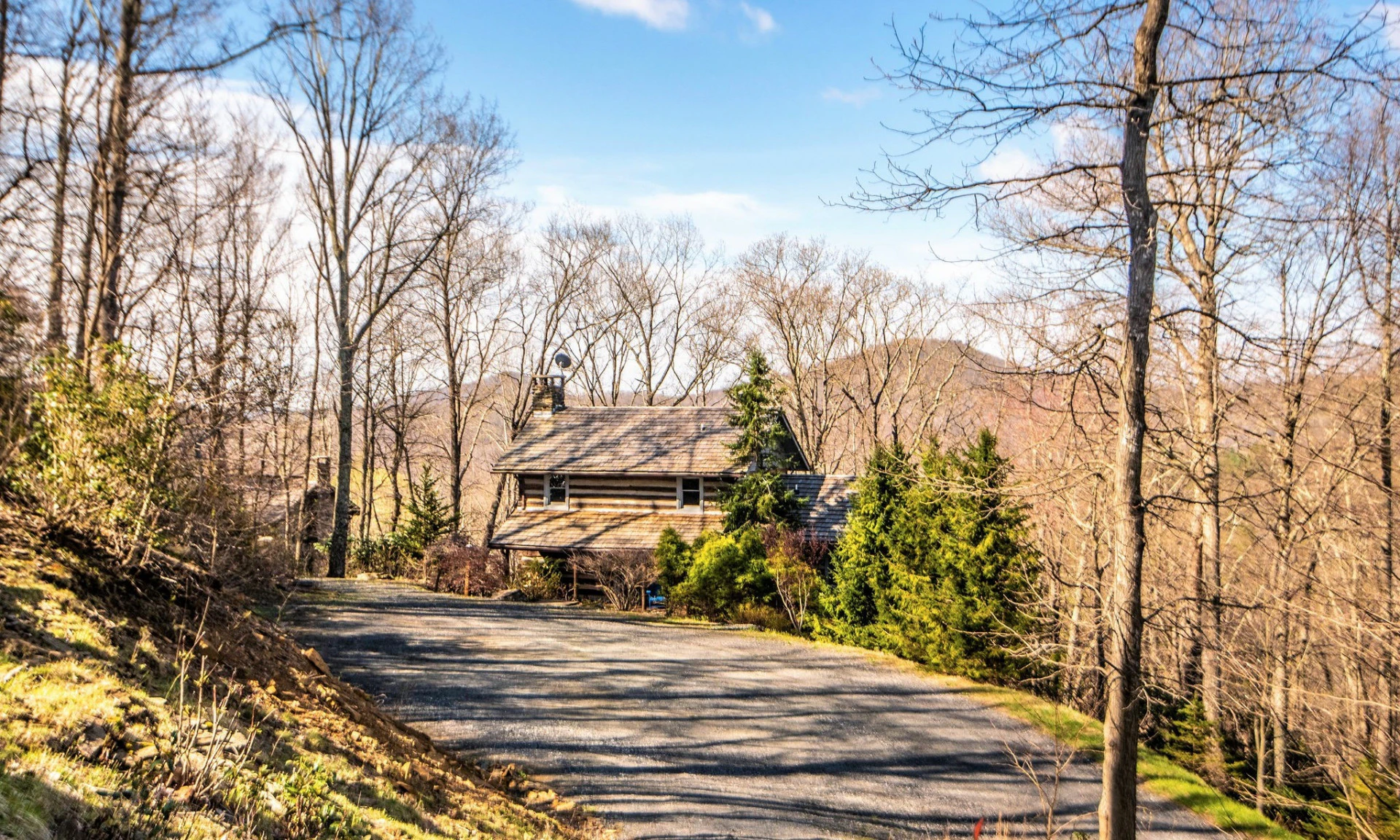 Image number 1 for the current listing