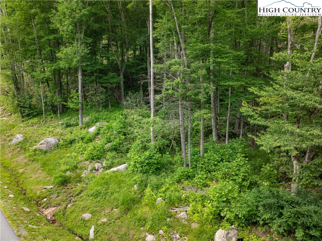 Image number 2 for the current listing