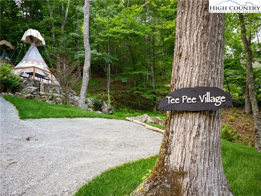 Image number 3 for the current listing