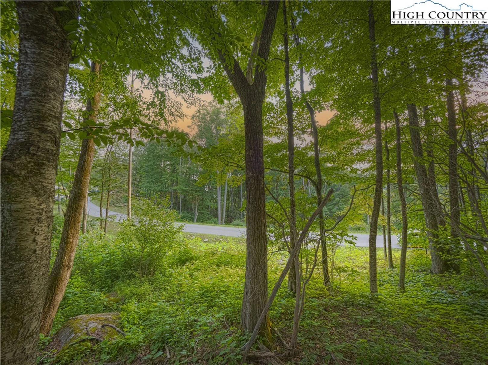 Image number 1 for the current listing
