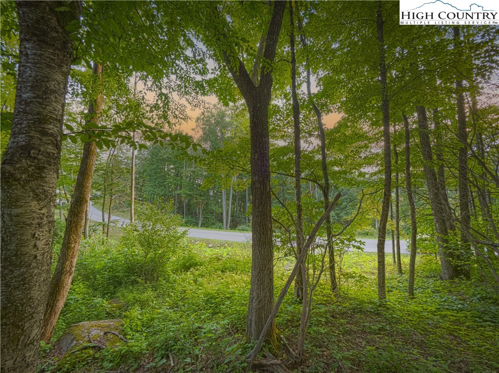 Image number 1 for the current listing