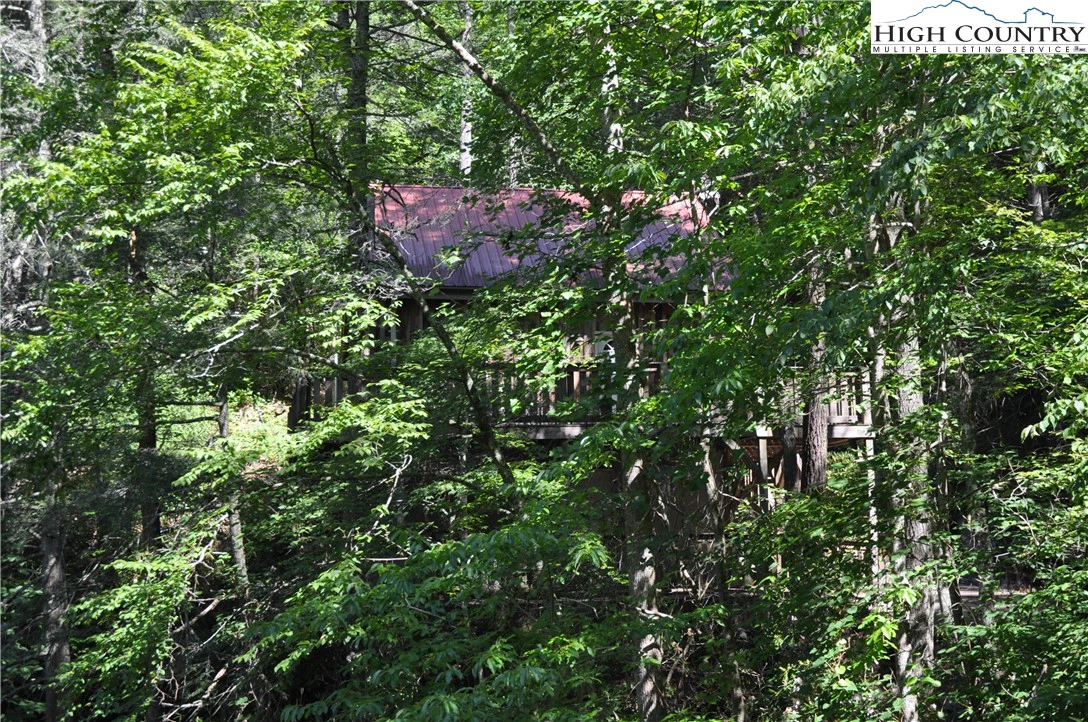 Image number 11 for the current listing