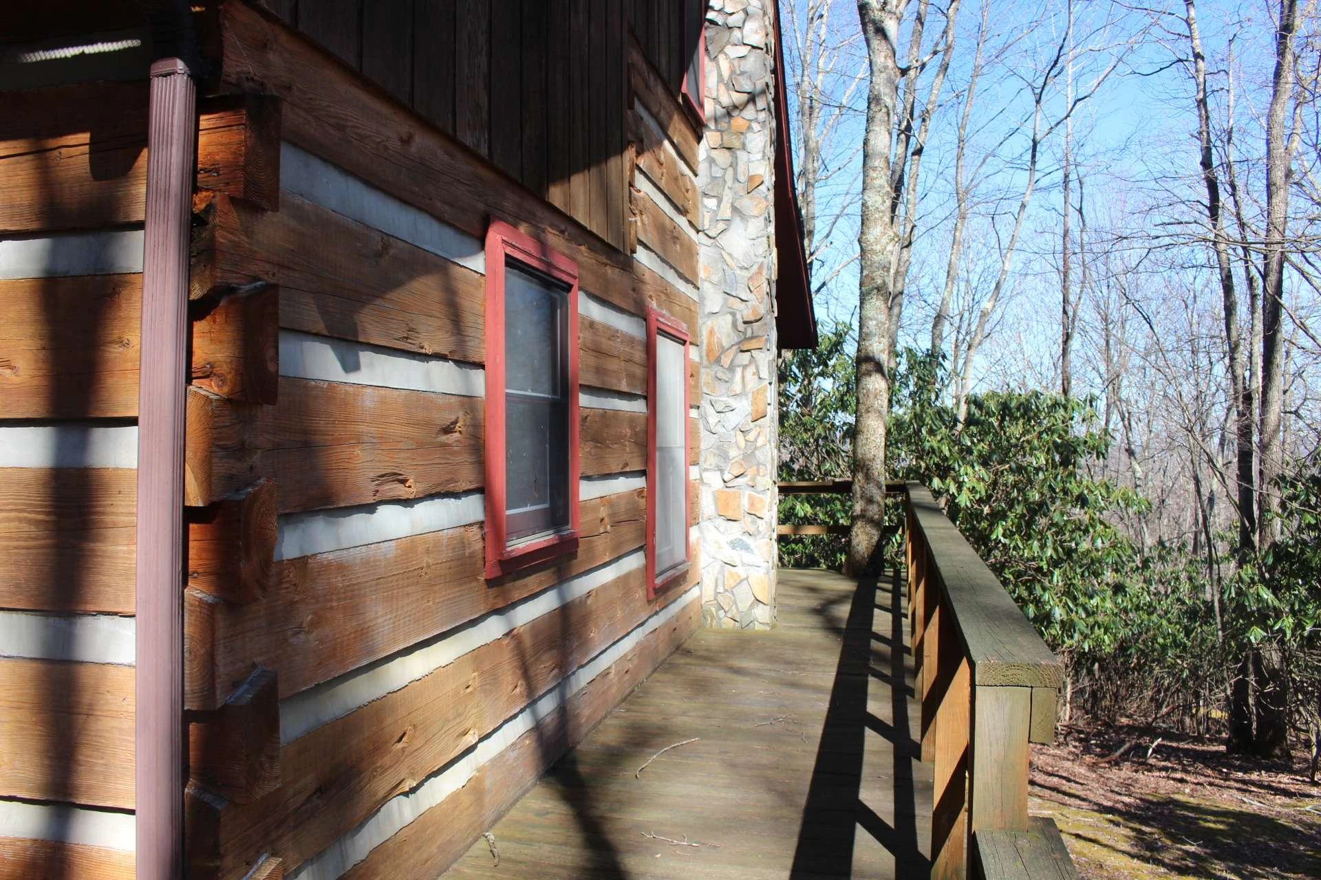 Image number 5 for the current listing