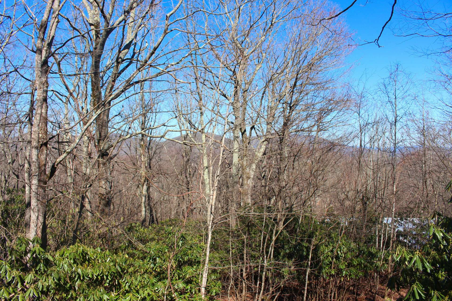 Image number 3 for the current listing