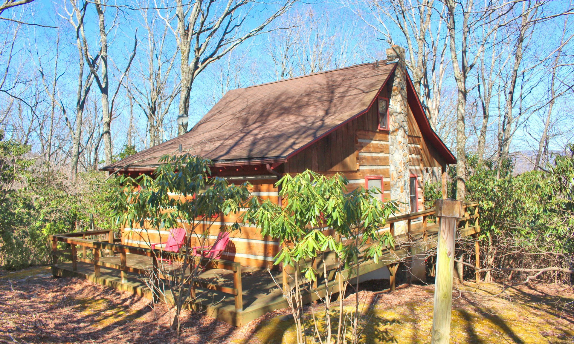 Image number 1 for the current listing