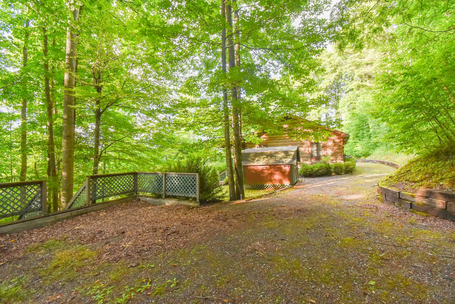 Image number 10 for the current listing