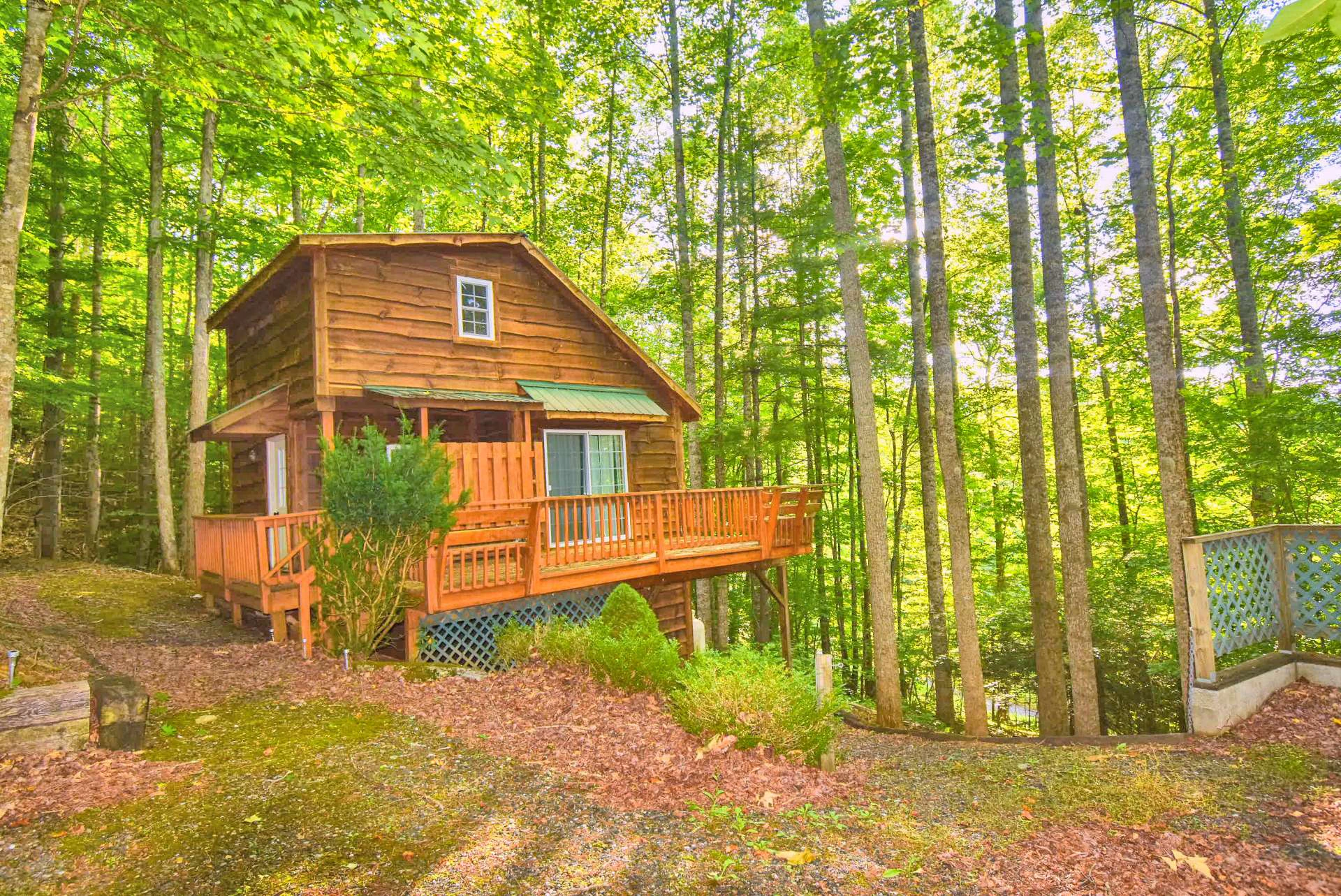 Image number 9 for the current listing