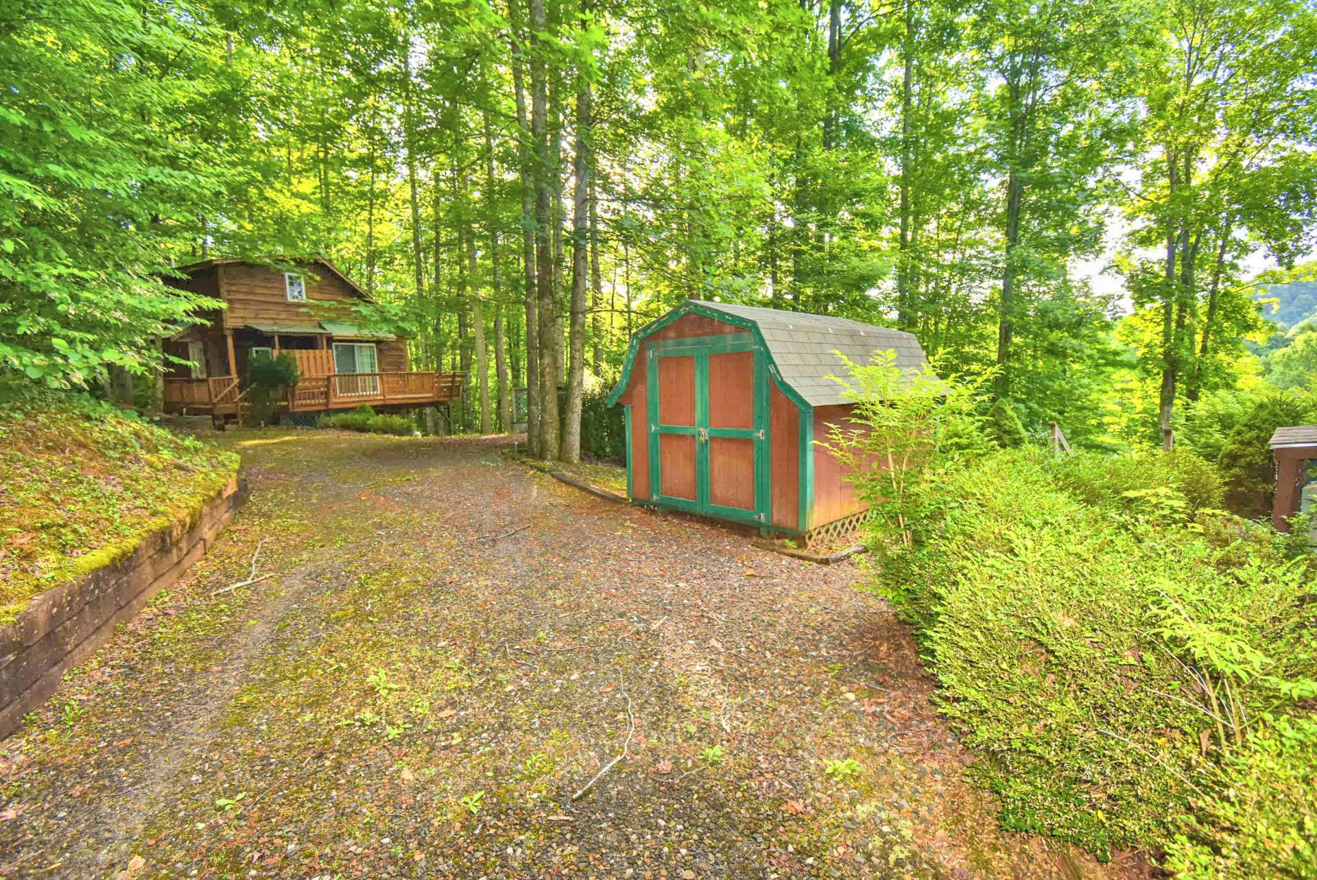 Image number 6 for the current listing
