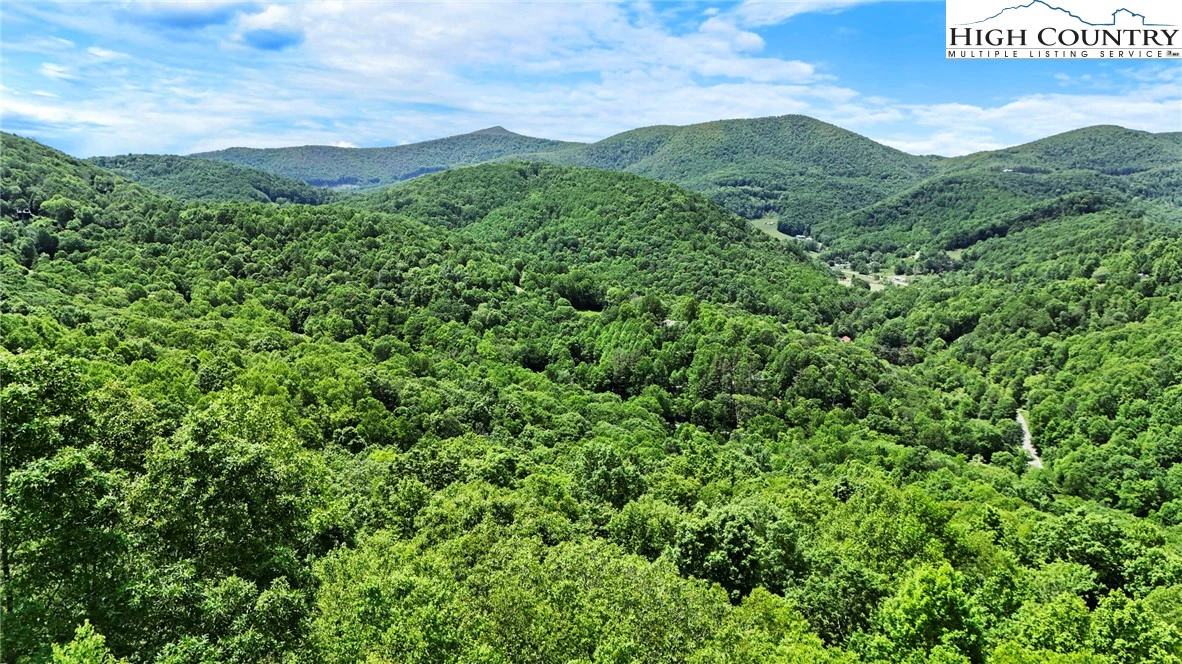 Image number 9 for the current listing