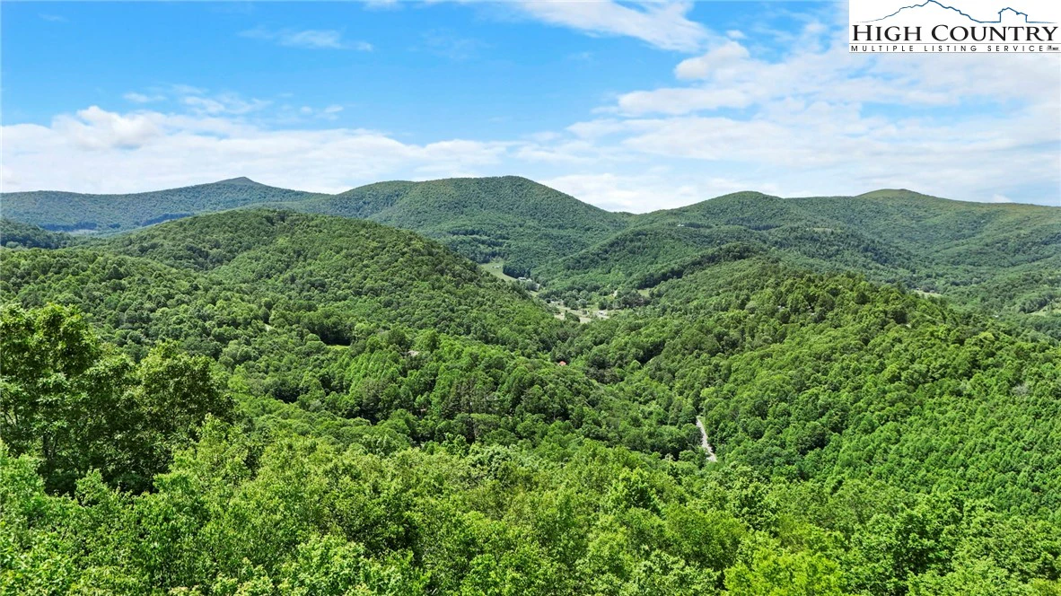 Image number 5 for the current listing
