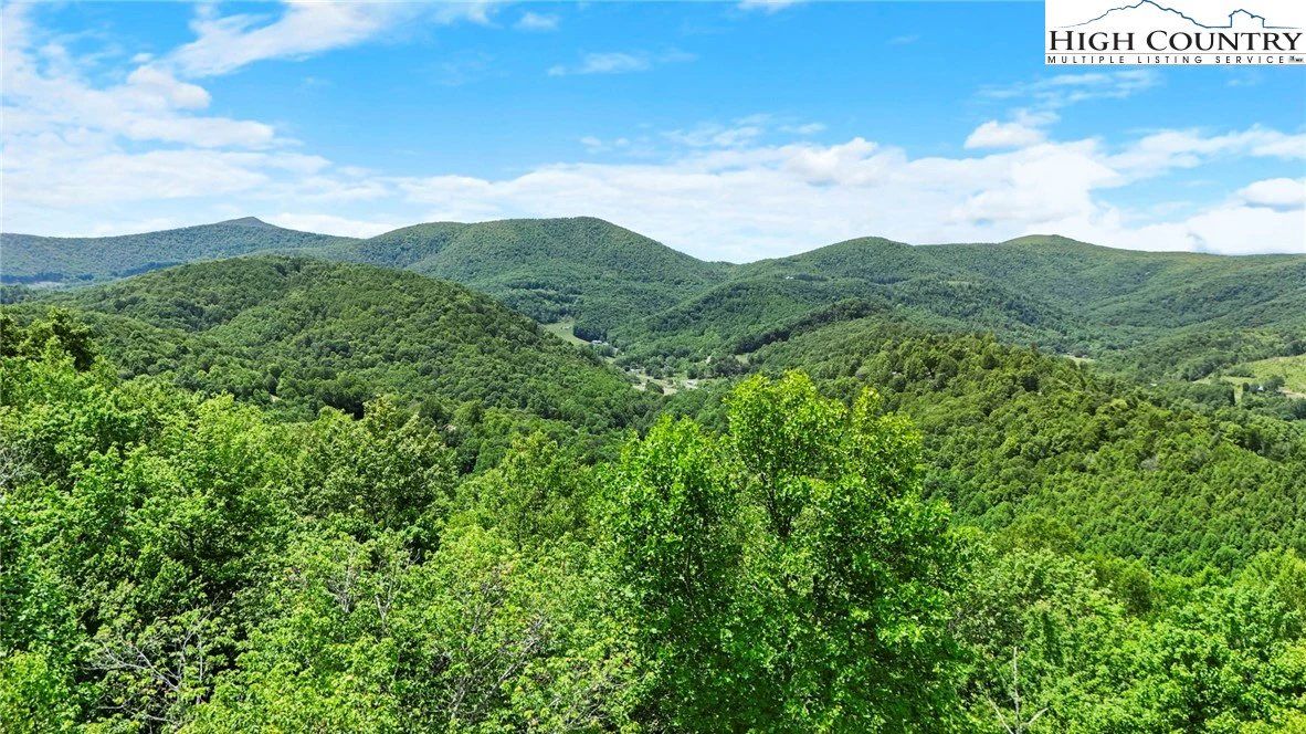 Image number 4 for the current listing
