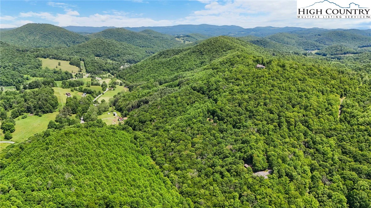 Image number 1 for the current listing