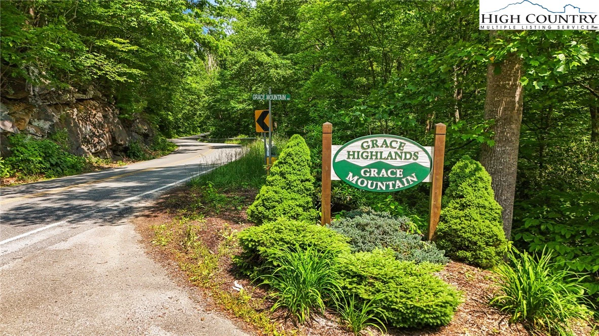 Image number 3 for the current listing