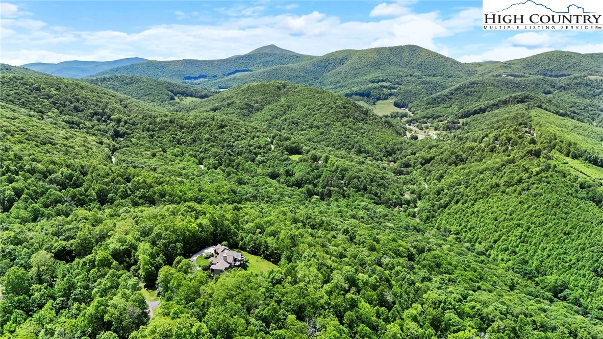 Image number 14 for the current listing