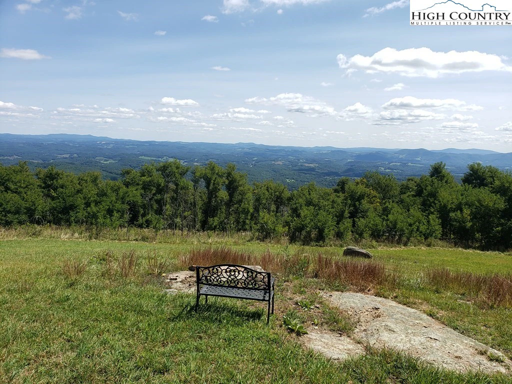 Image number 2 for the current listing